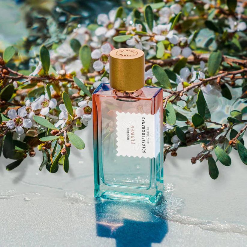 Goldfield & Bank Pacific Rock Flower 